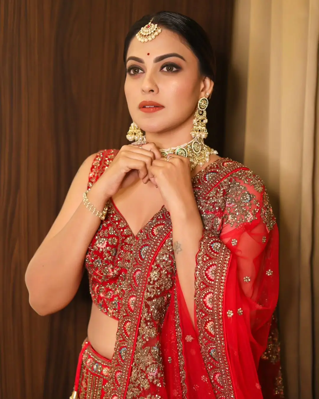 Anusree Nair Wearing Beautiful Earrings Jewellery Red Lehenga Choli